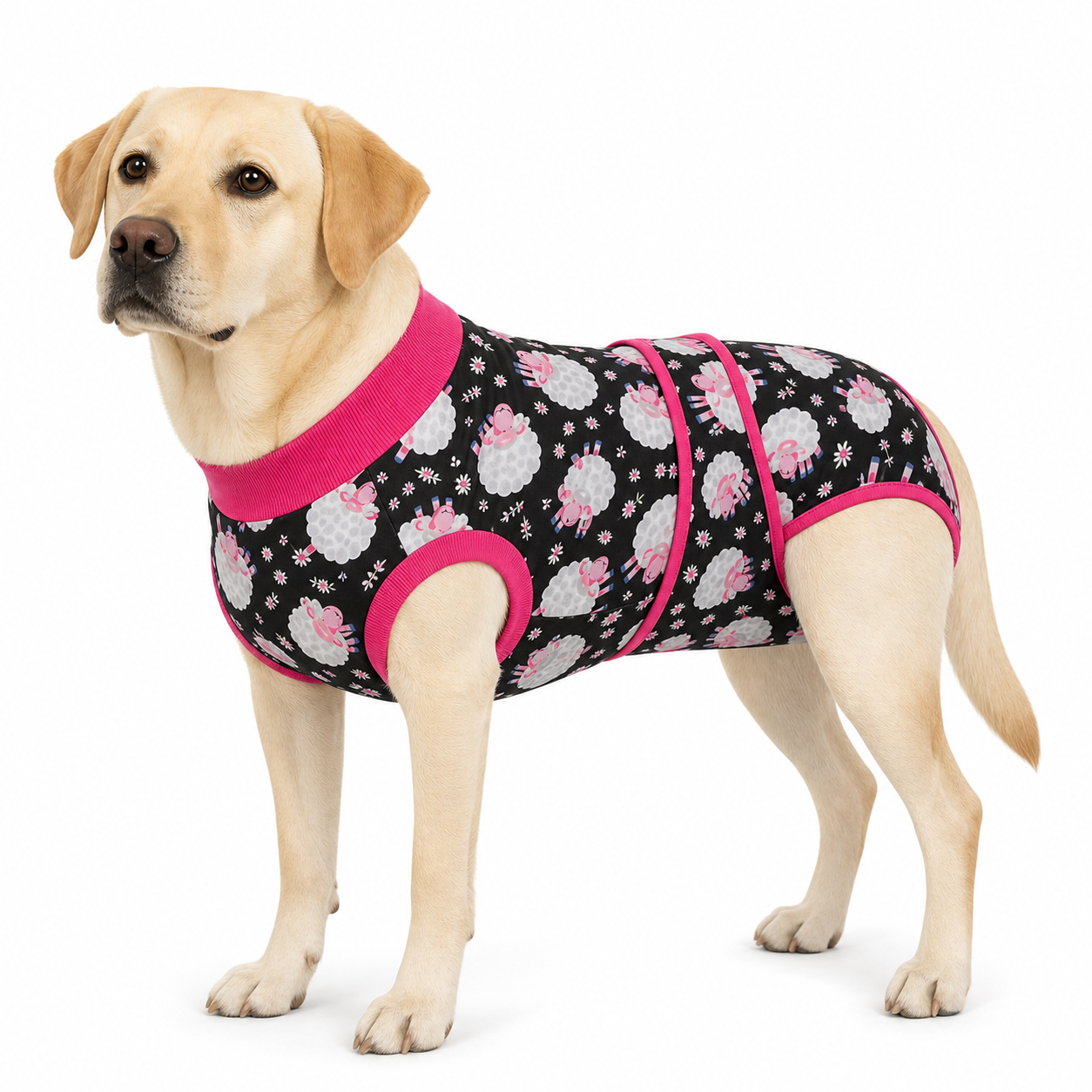 Recovery suits for male and female dogs -  Cute Critters Prints