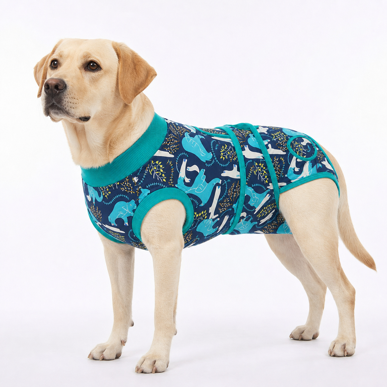 Recovery suits for male and female dogs -  Cute Critters Prints