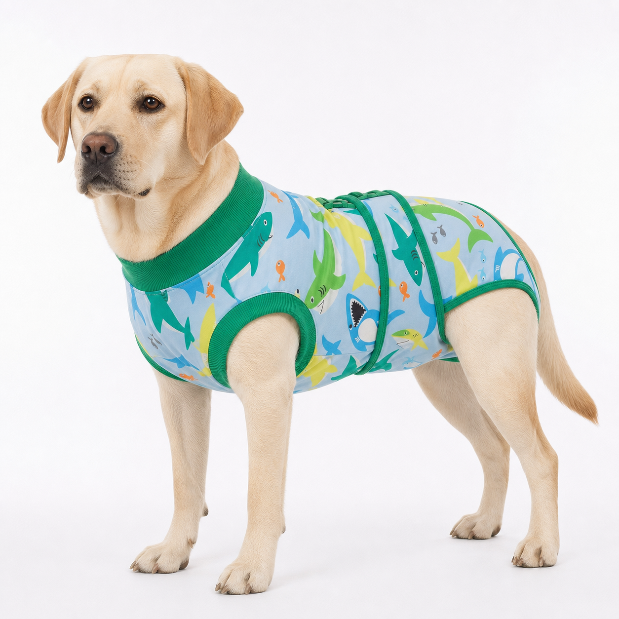Recovery suits for male and female dogs -  Deep Blue Ocean Prints