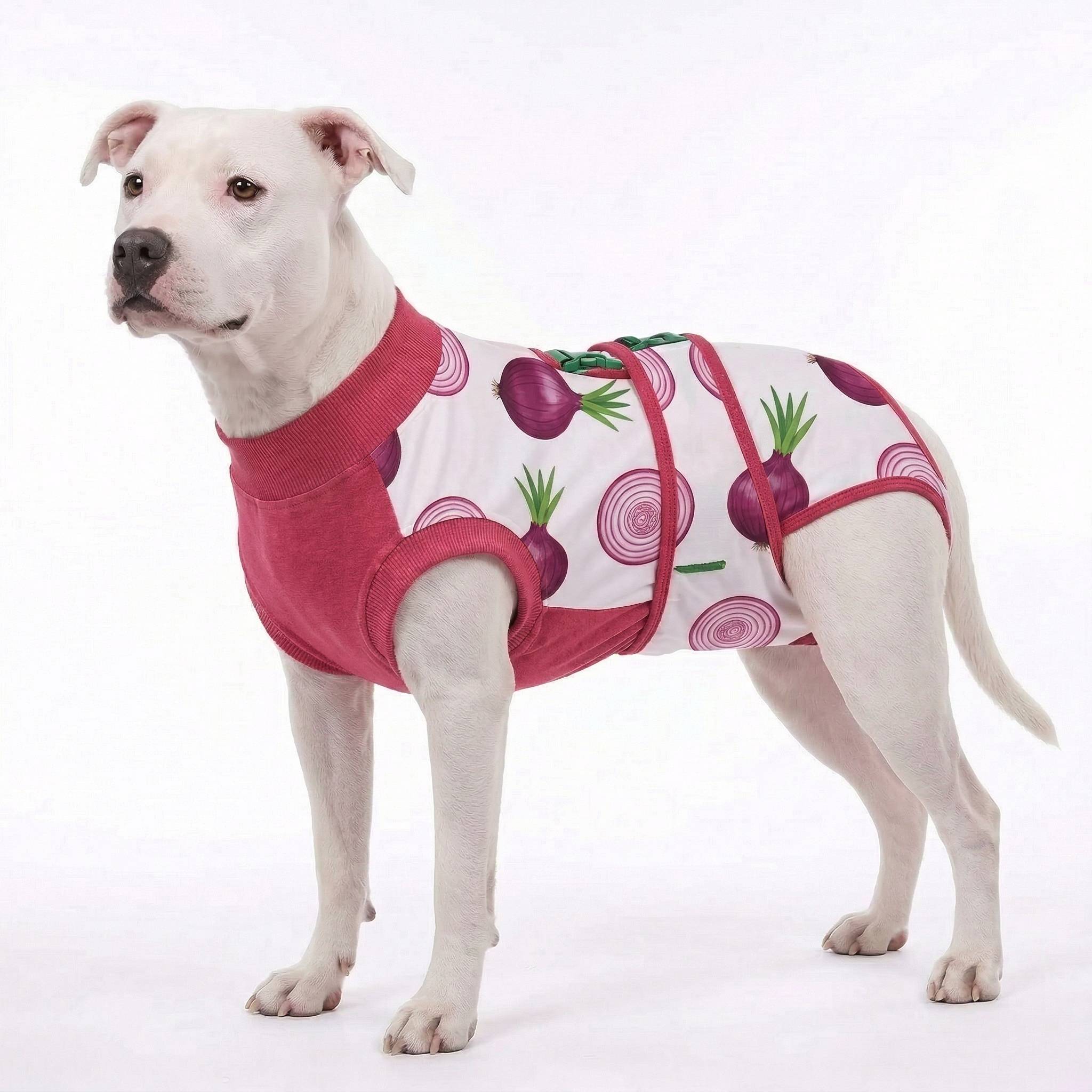 Recovery suits for male and female dogs -  Organic Veggies Prints