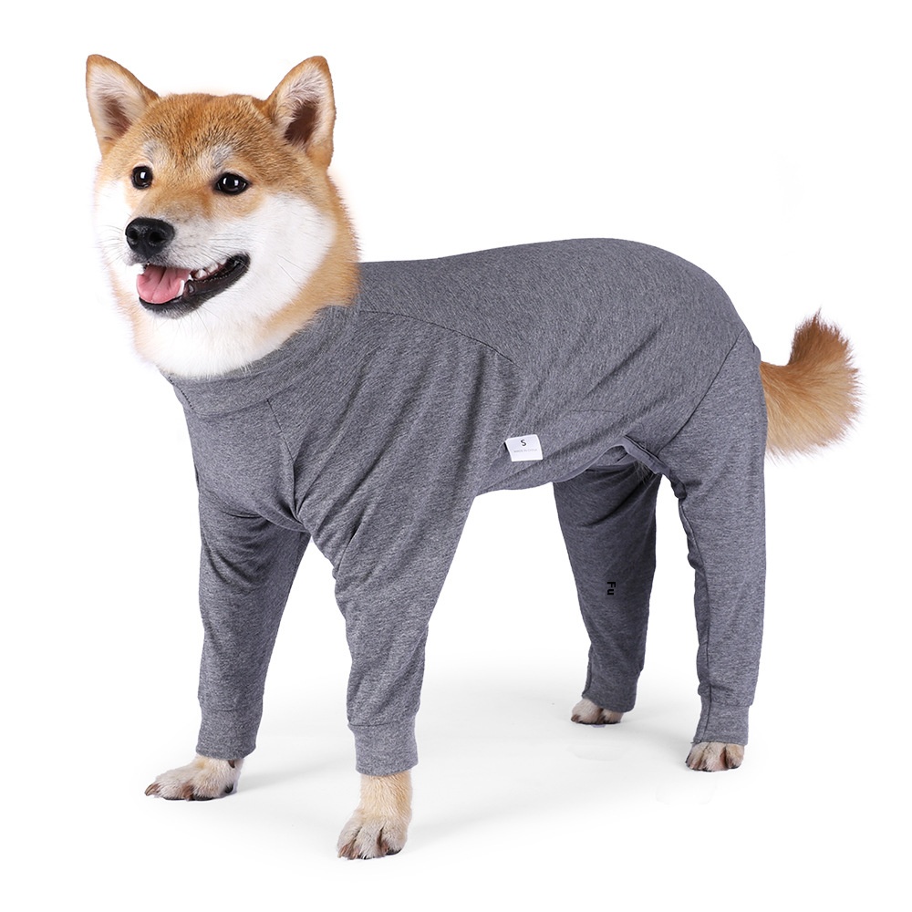 Matching dog and owner pajamas for winter