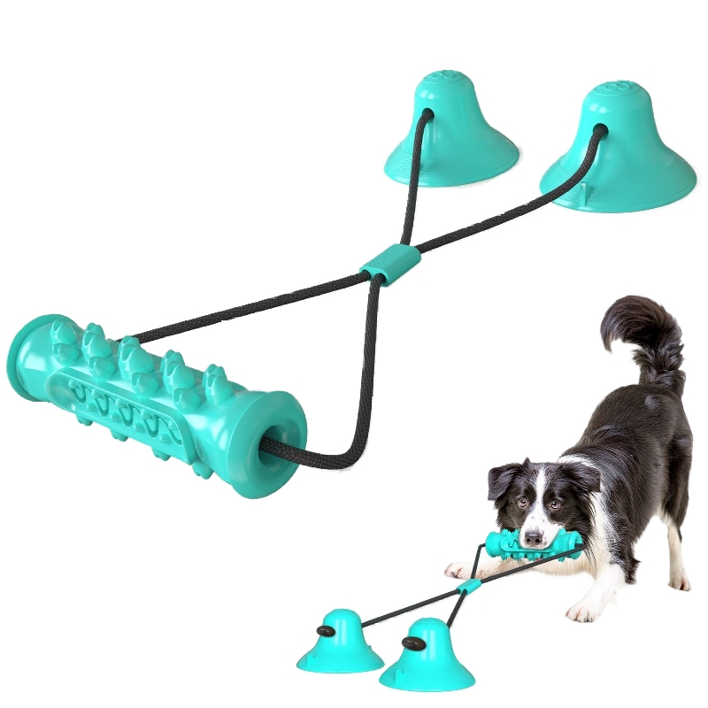 Sucker drawstring molar Rod dog tug-of-war toy