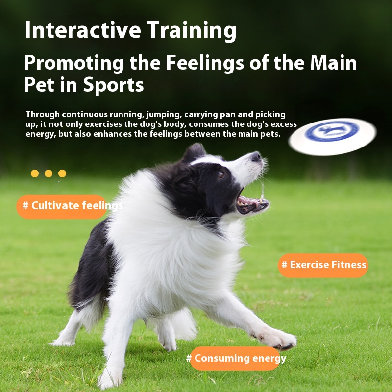 Pet toys new product professional training standard Frisbee throwing interactive bite-resistant lag-free interactive ranking Frisbee supplies