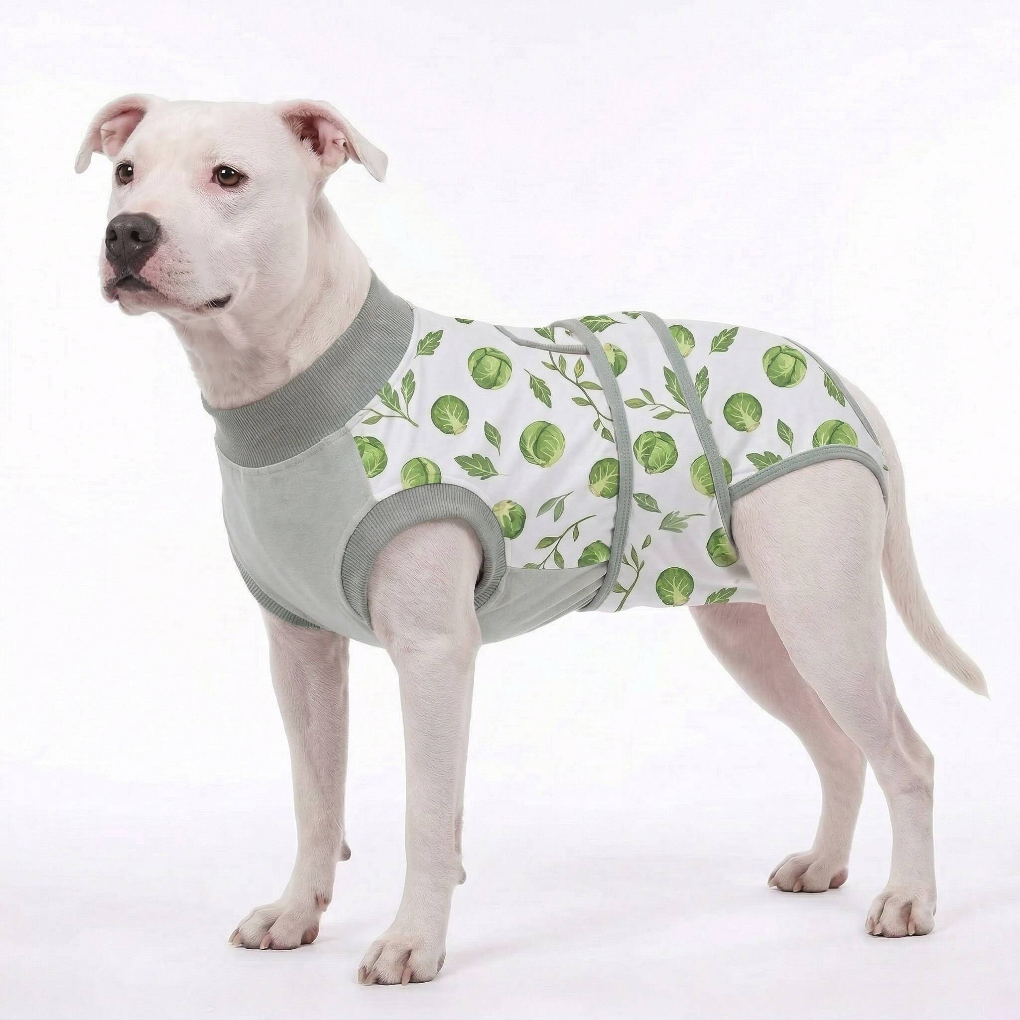 Recovery suits for male and female dogs -  Organic Veggies Prints