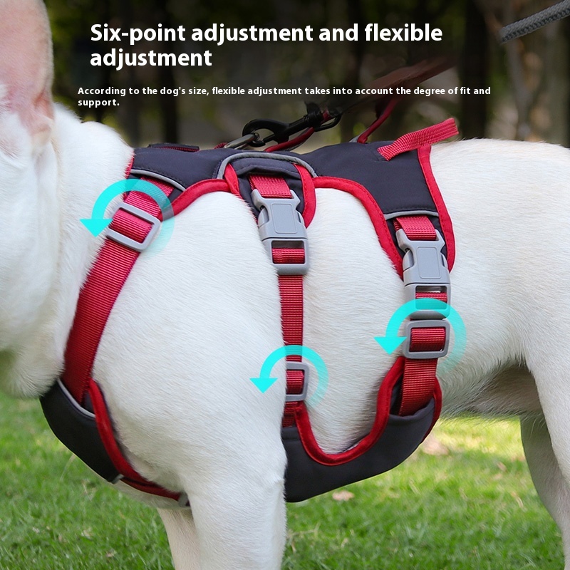 Anti breaking loose dog hand holding rope chest strap small and medium-sized dogs Jarre Aero bull Corgi and Shiba Inu dog leash dog leash dog chain