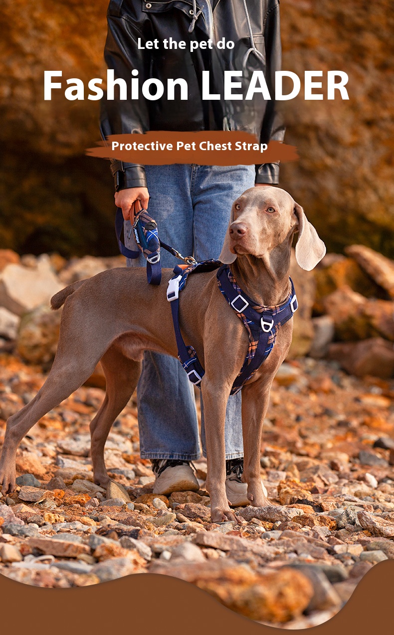 i2aWi/+syNQCDNrwBMfKHA9FqmPUYg+DOxF4