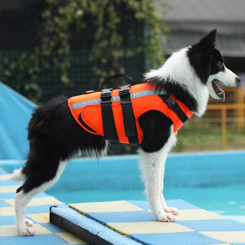 High Buoyancy Reflective Dog Life Jacket for Large Breeds - Anti-Drowning Vest