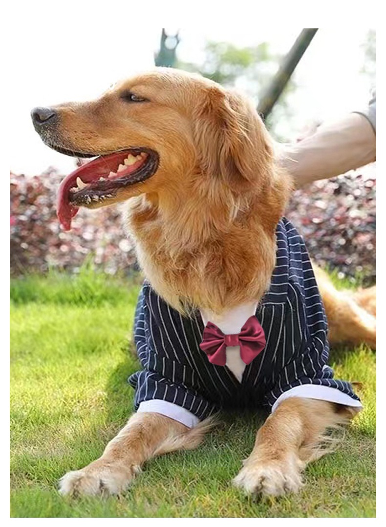 Big dog suit dress dog wedding suit golden retriever husky Labrador Samoyed large dog clothes Big dog suit dress dog wedding suit golden retriever husky Labrador Samoyed large dog clothes