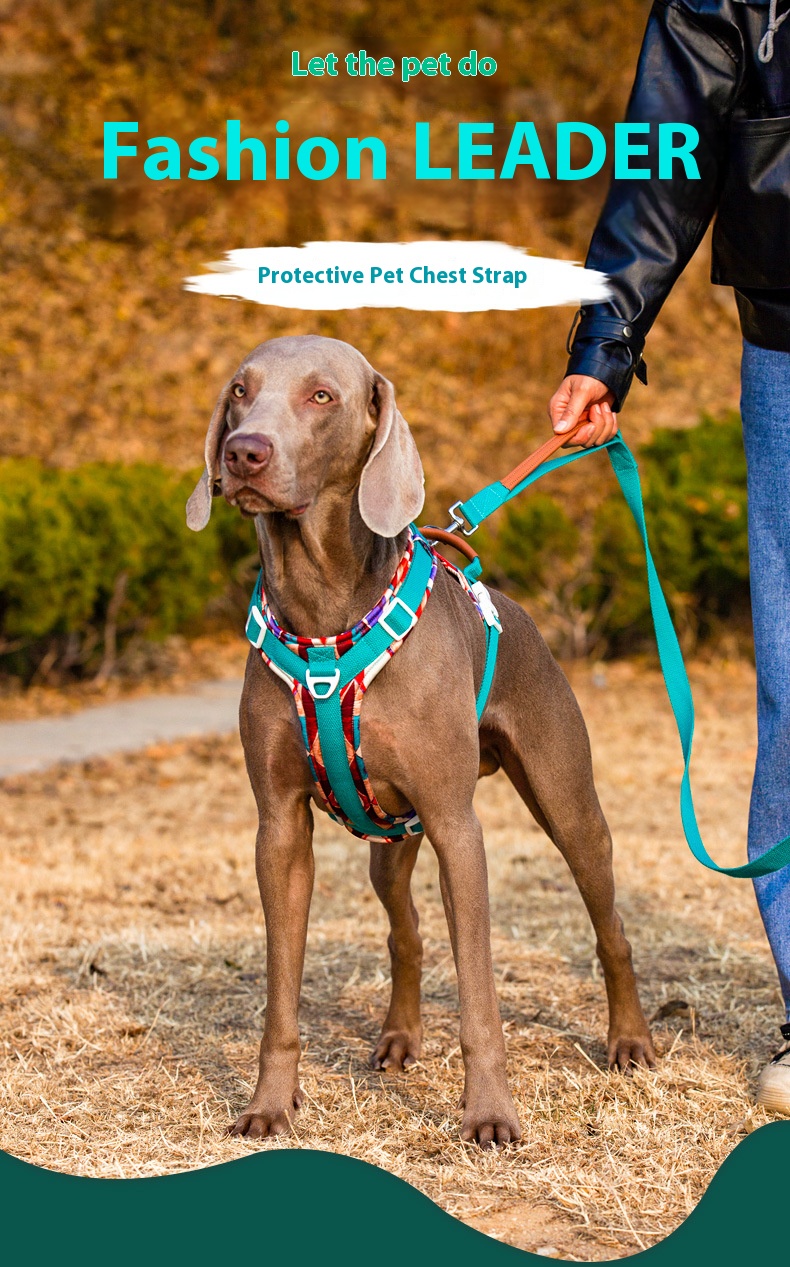 i2aWi/+syNQCDNrwBMfKHA9FqmPUYg+DOxF2