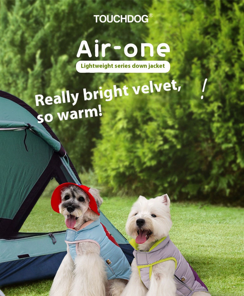 i2aWi/+syNQCDNrwBMfKHA9KqmDXYg+H+j5m