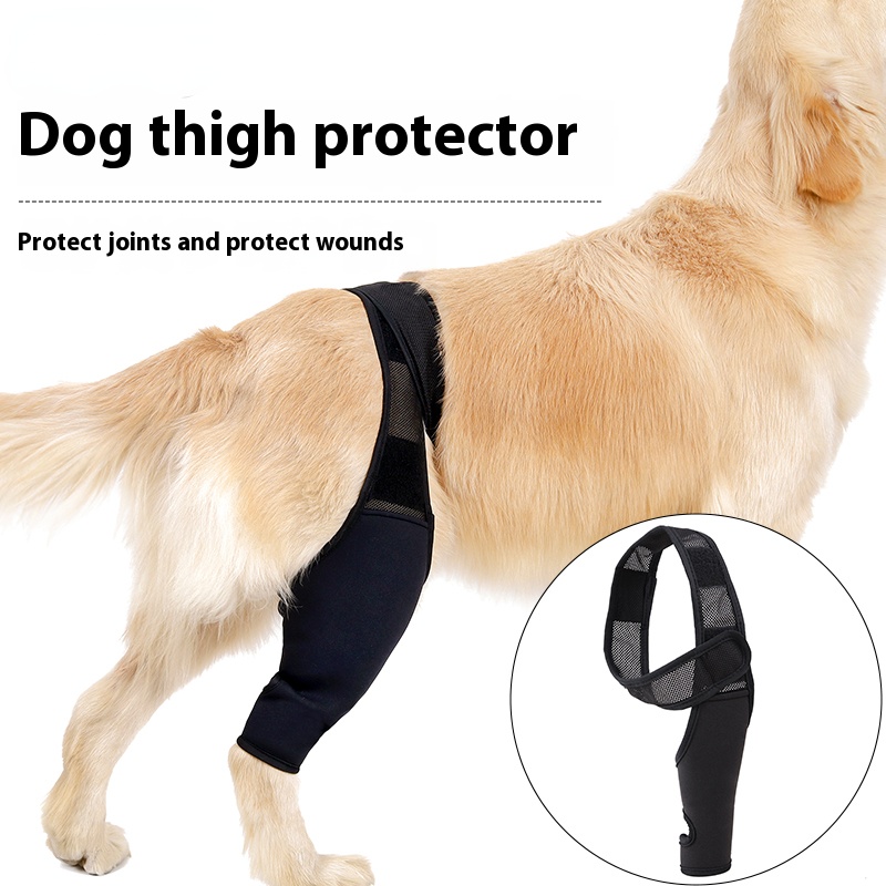 Dog fixed protective gear dog rear leg bracket disabled dog leg auxiliary dog leg limp belt knee pad surgical injury protective cover