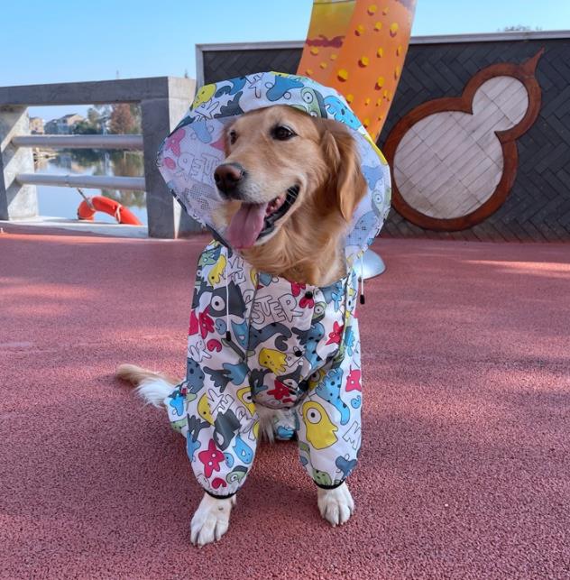 Lovinpet Four-Legged Waterproof Windcheater Hooded Raincoat for All Dog Breeds