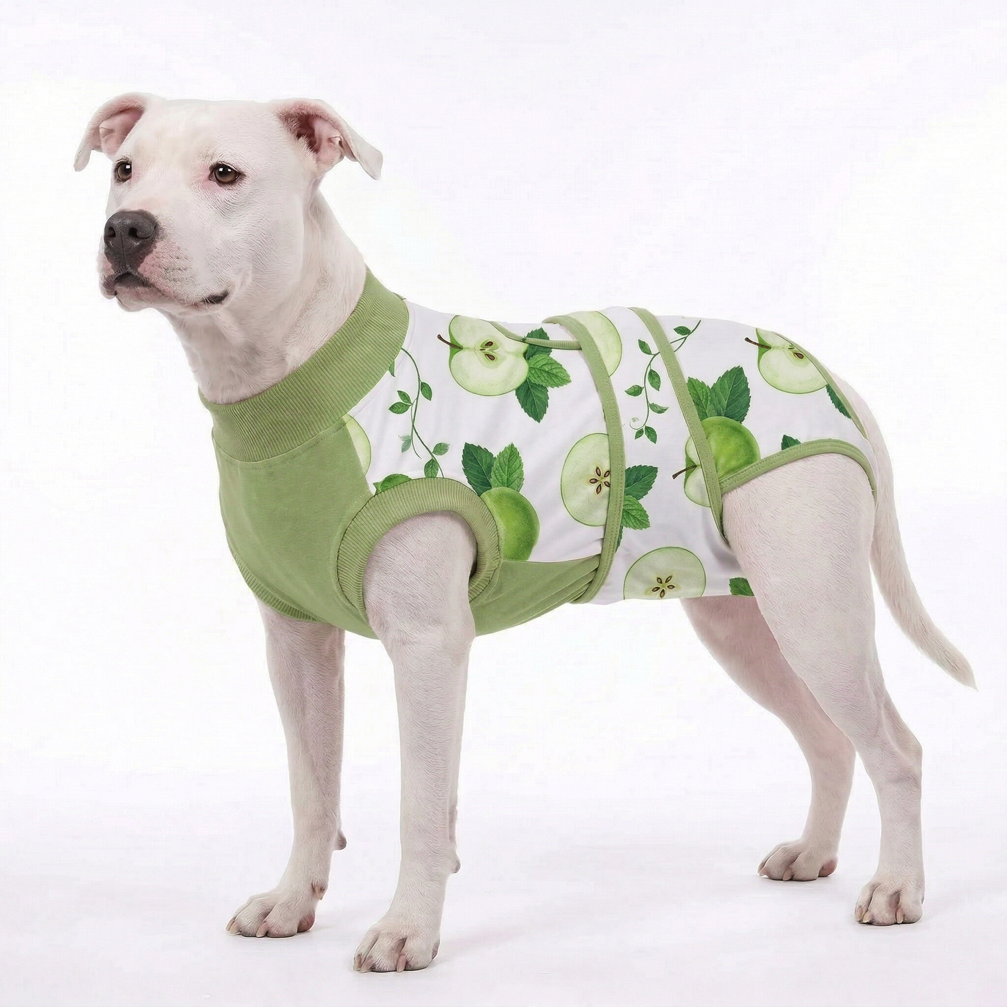 Recovery suits for male and female dogs- Fresh Fruits Print