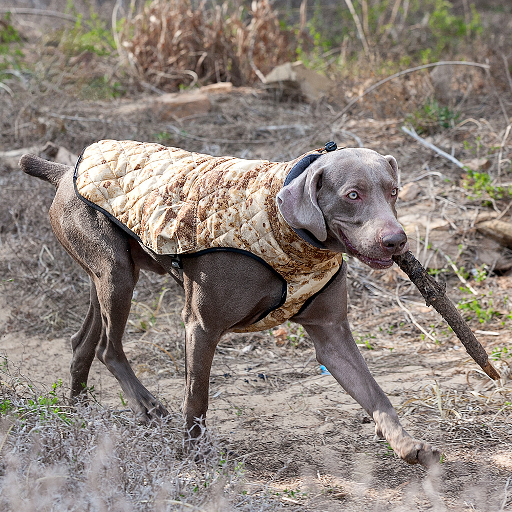 Dog clothes big dog outdoor outdoor anti-injury cold-proof pet clothes thickened & camouflage coat
