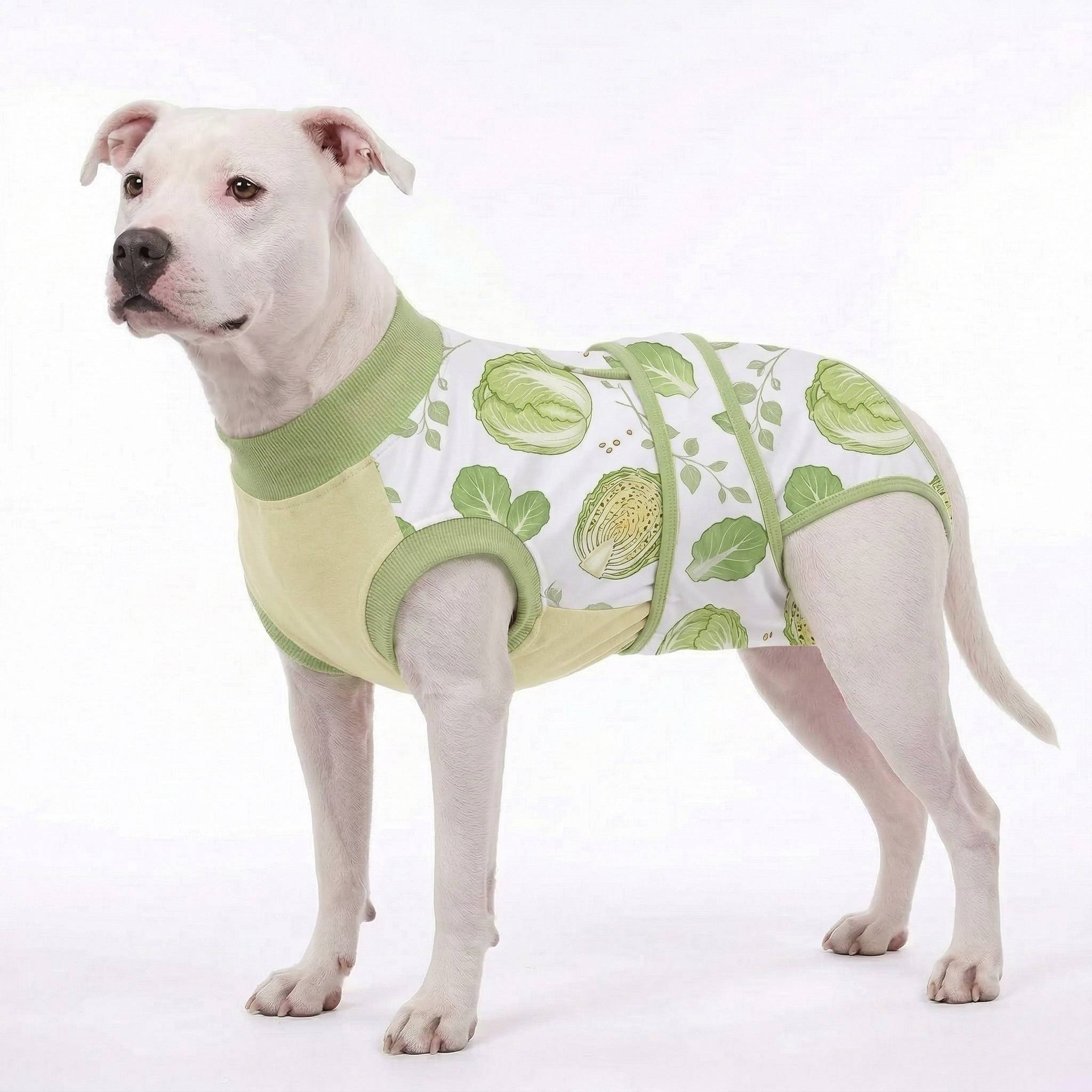 Recovery suits for male and female dogs -  Organic Veggies Prints