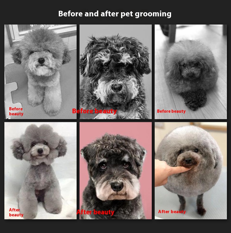 3瑙勬牸鐩村壀_r2_c1