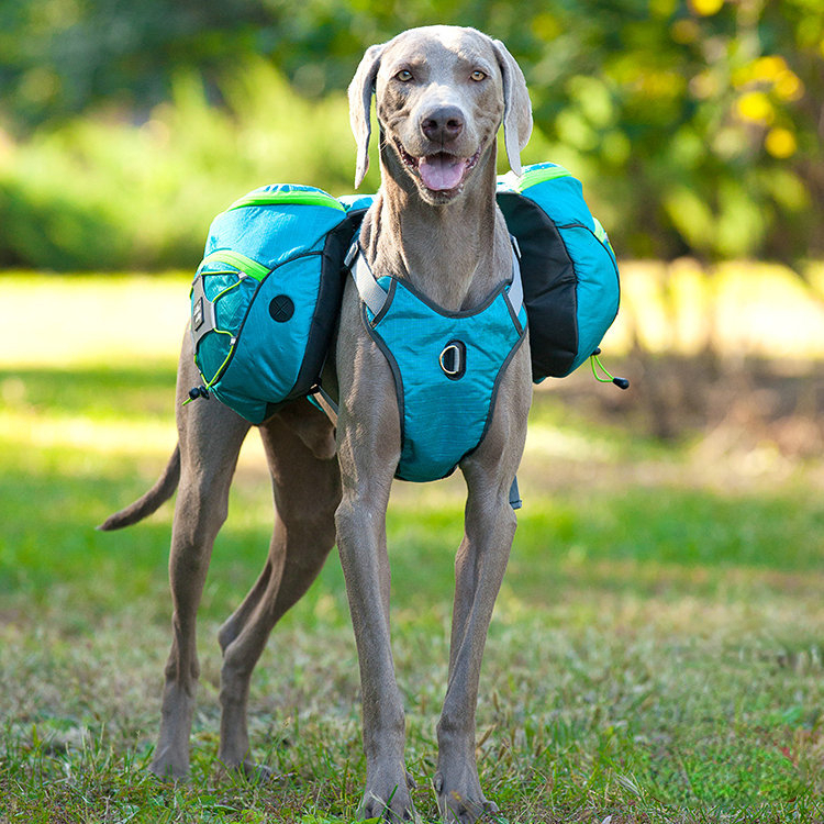 Dog pet bag super large capacity waterproof removable dog out dog backpack
