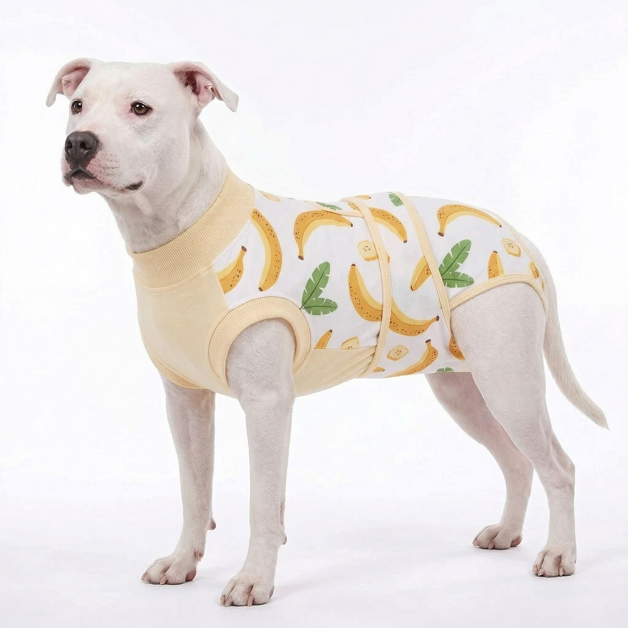 Recovery suits for male and female dogs- Fresh Fruits Print