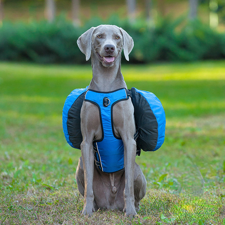 Pet dog outing schoolbag snack portable dog backpack medium large dog hand holding rope chest strap