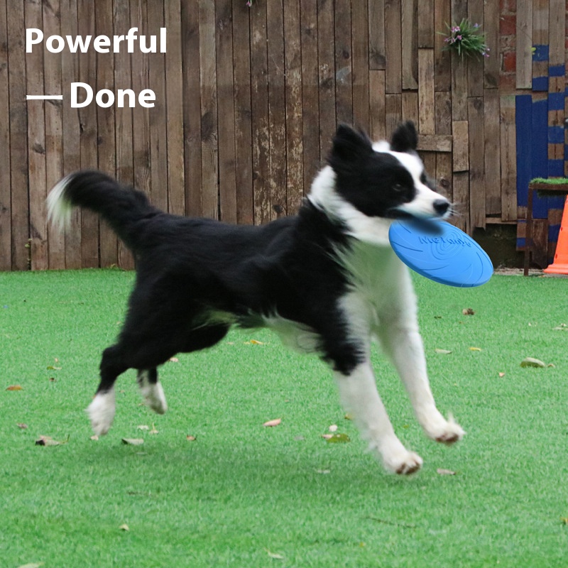 Dog Toy Frisbee dog special training border collie golden retriever medium large dog dog toy bite-resistant pet toy