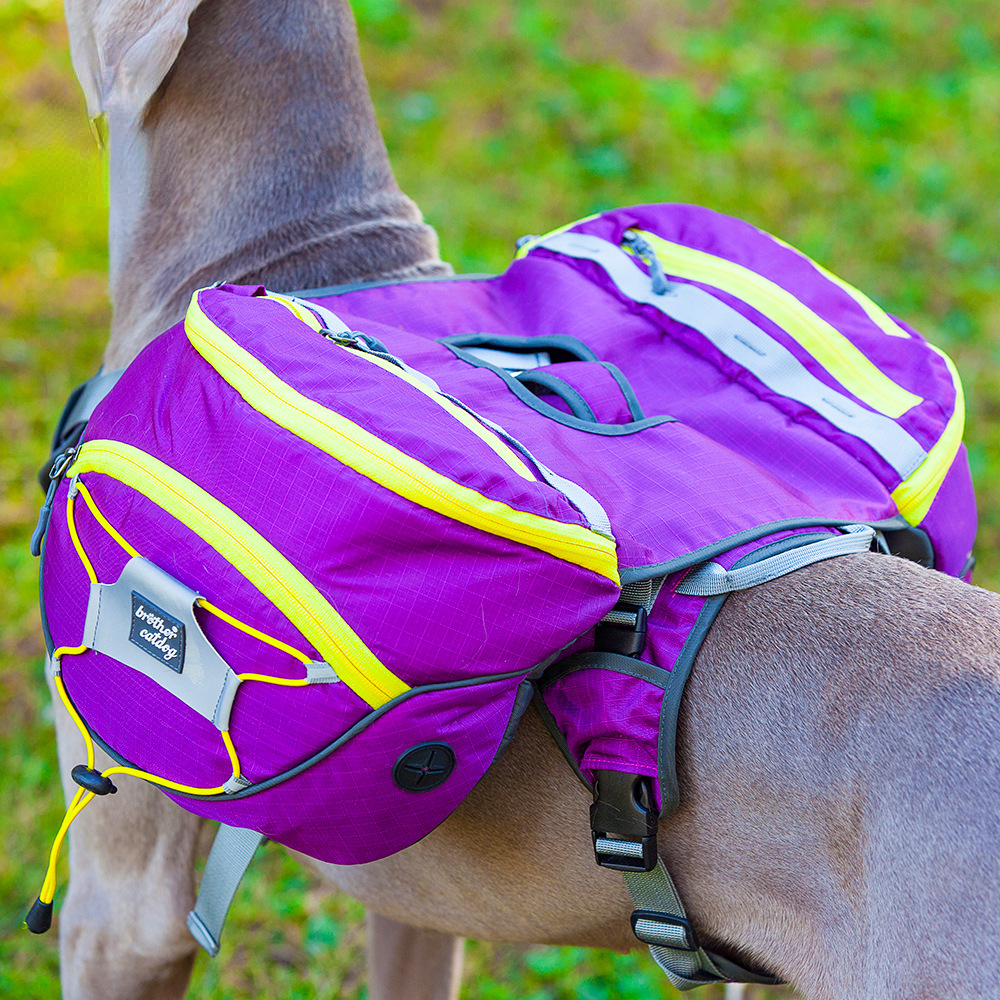 Pet dog dog backpack large dog outing dog backpack golden retriever Samoyed two ha detachable backpack