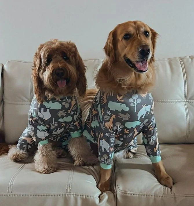 Two dogs sitting on a couch wearing matching Lovinpet pajamas with animal prints.