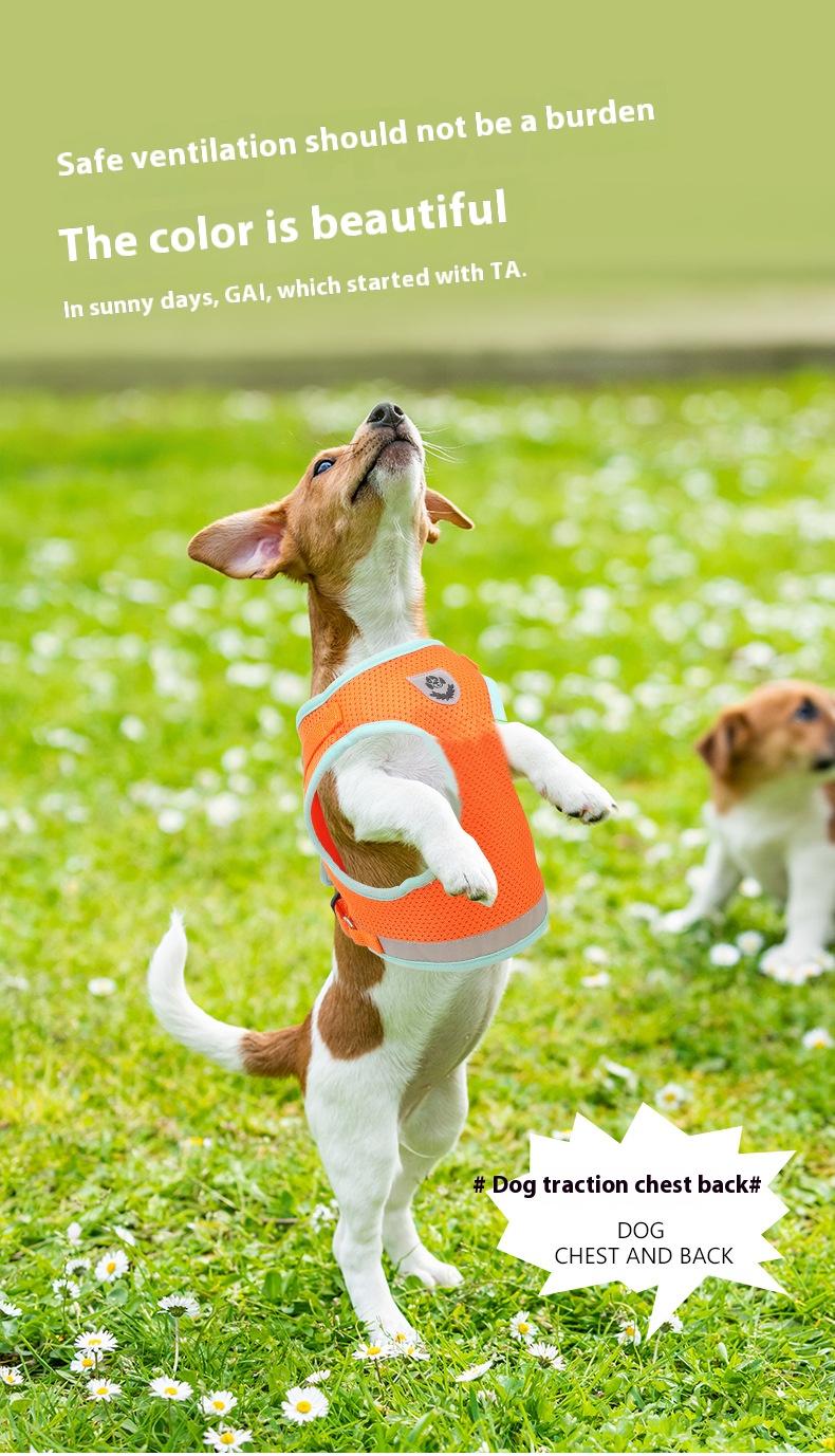 i2aWi/+syNQCDNrwBMfKHA9HqmPQYgqBmKGt