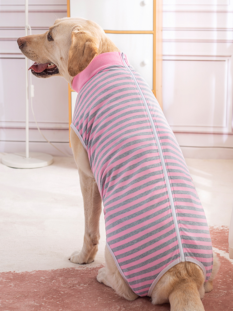 Large dog belly wrap postoperative clothing golden retriever Labrador weaning clothing belly care sterilization clothing anti-licking four-leg vest thin