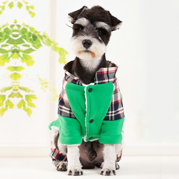 Warm Four-Legged Dog Sweater for Small Breeds | Teddy & Bichon Winter Clothes