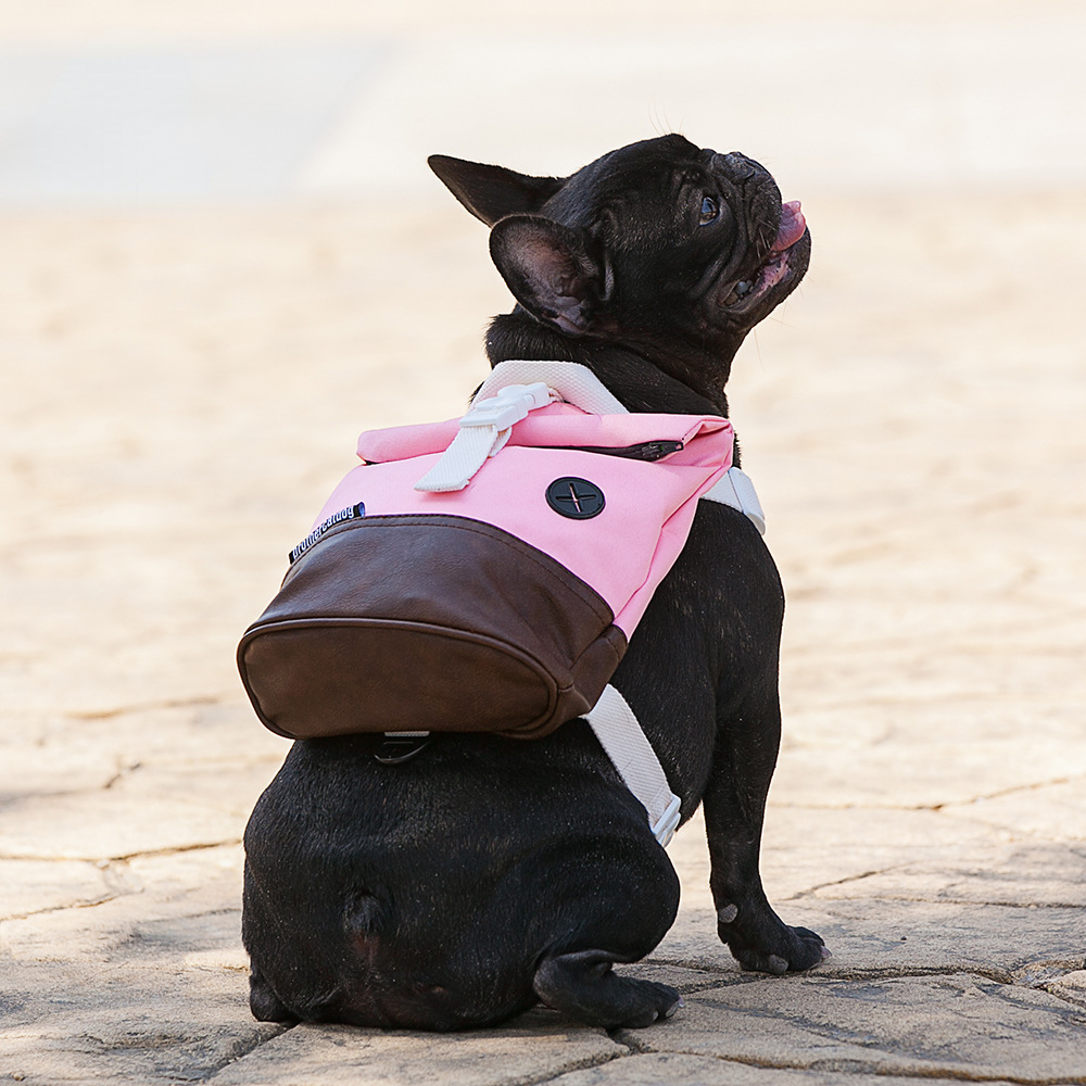 Puppy Dog backpack supplies Dog backpack portable chest strap water repellent Travel Dog backpack pet supplies