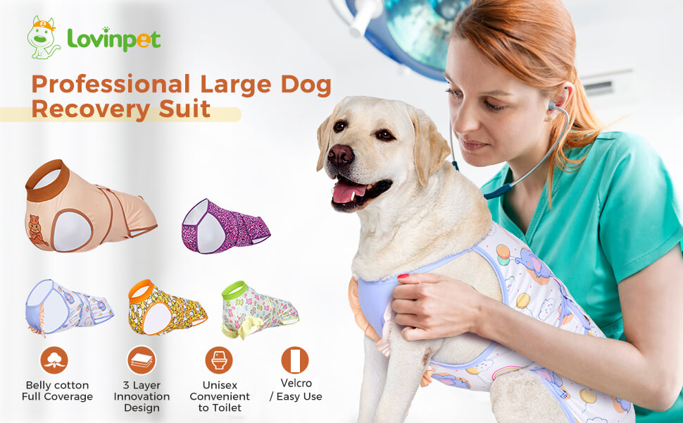 dog recovery suit onesie for dogs after surgery