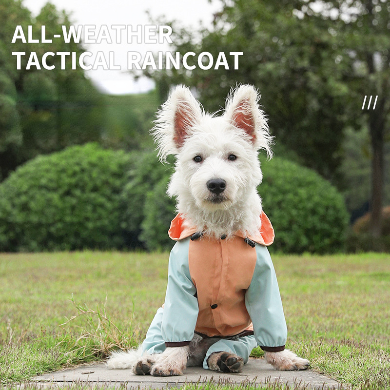 Waterproof Four-Legged Dog Raincoat for Small Breeds - Bichon, Teddy, All-Inclusive Design