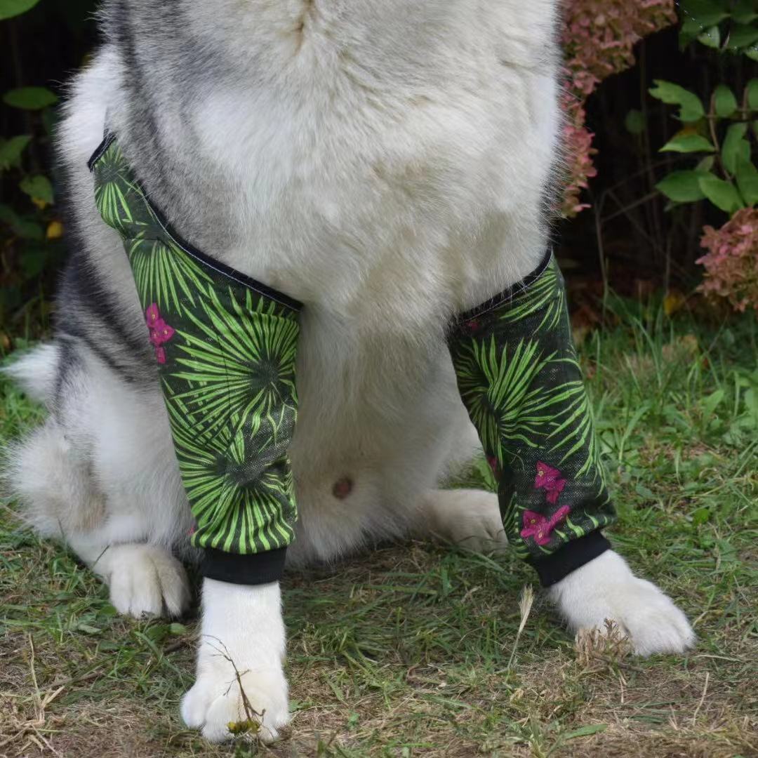 Dog Knee Suit16