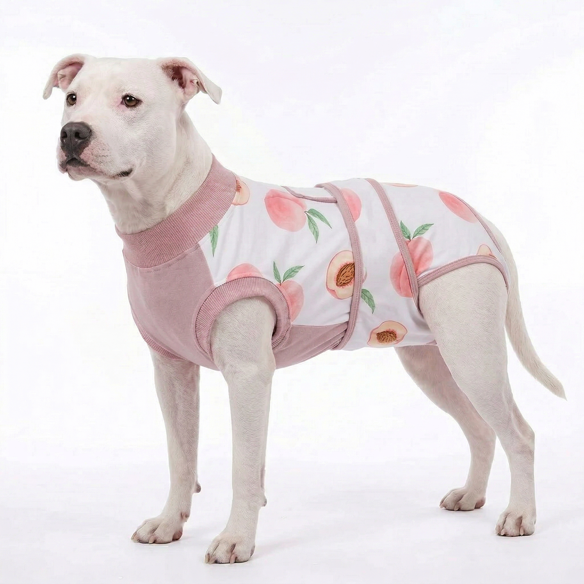 Recovery suits for male and female dogs- Fresh Fruits Print
