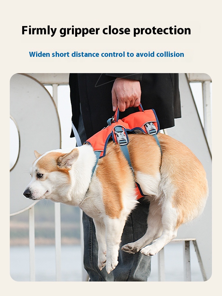 Lifting dog breast strap vest-style medium-sized dog Corgi and Shiba Inu small dog teddy dog leash anti breaking loose