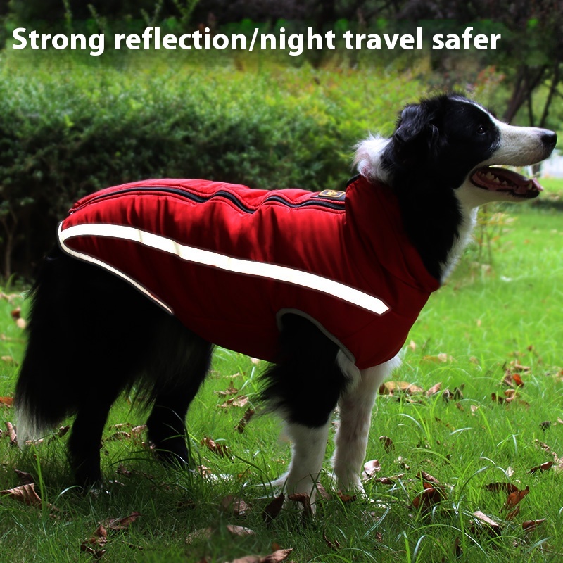Dog clothes autumn and winter clothing border collie Labrador polar fleece thick warm cotton-padded jacket medium large dog winter winter