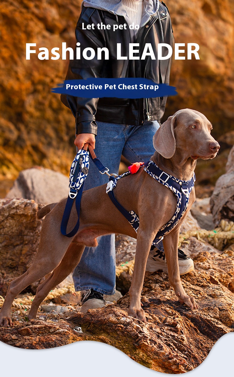 i2aWi/+syNQCDNrwBMfKHA9FqmPUYg+DOxF4