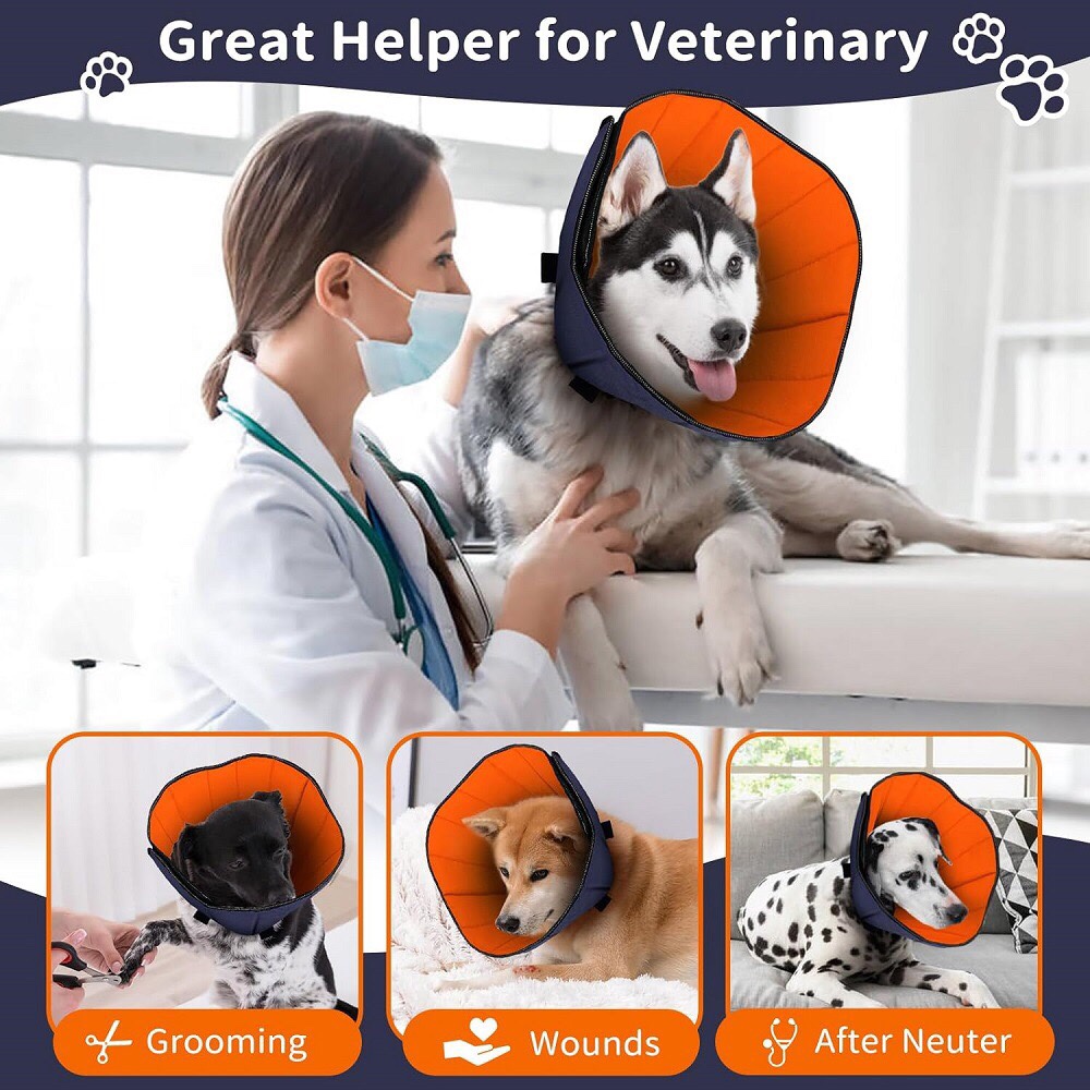 Medium & Big Dog Collar - Deepening plus-sized Elizabeth ring