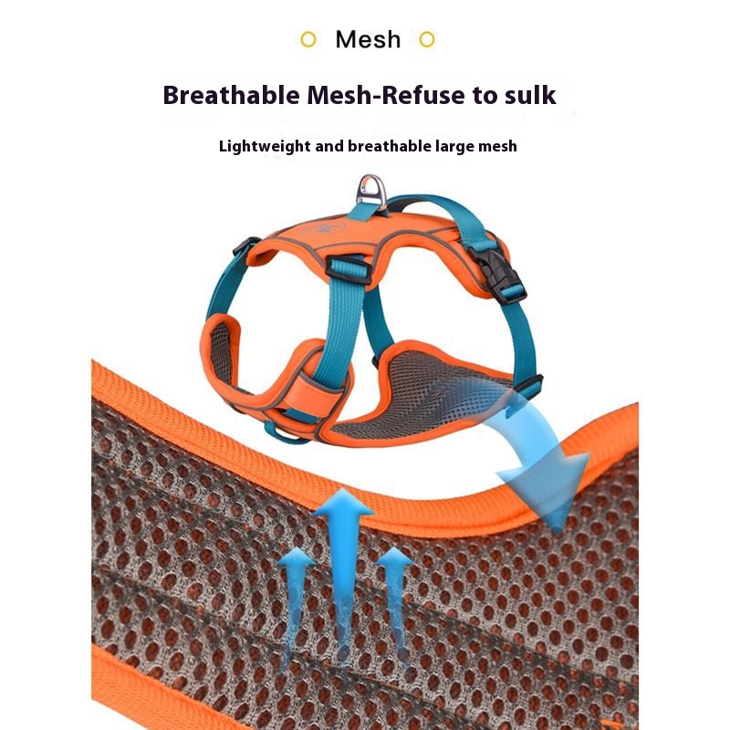 Dog hand holding rope vest-style chest strap outing strap dog harness small large dog Labrador dog leash