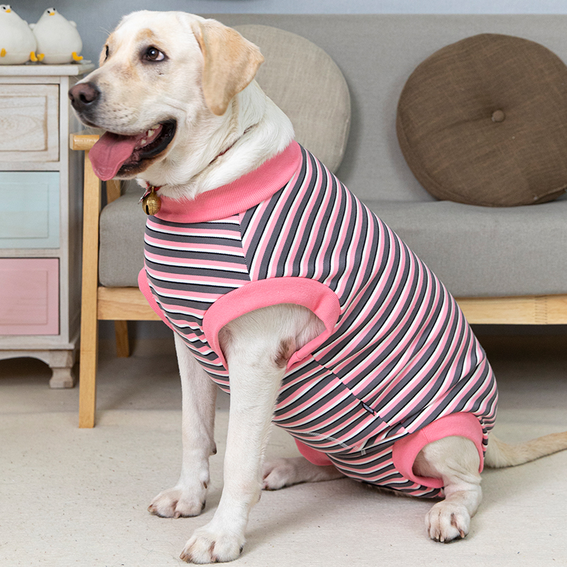 Big dog clothes autumn and winter fleece-lined thickened golden retriever bellyband vest warm prevent catching cold female canine all-inclusive belly post-operation clothes