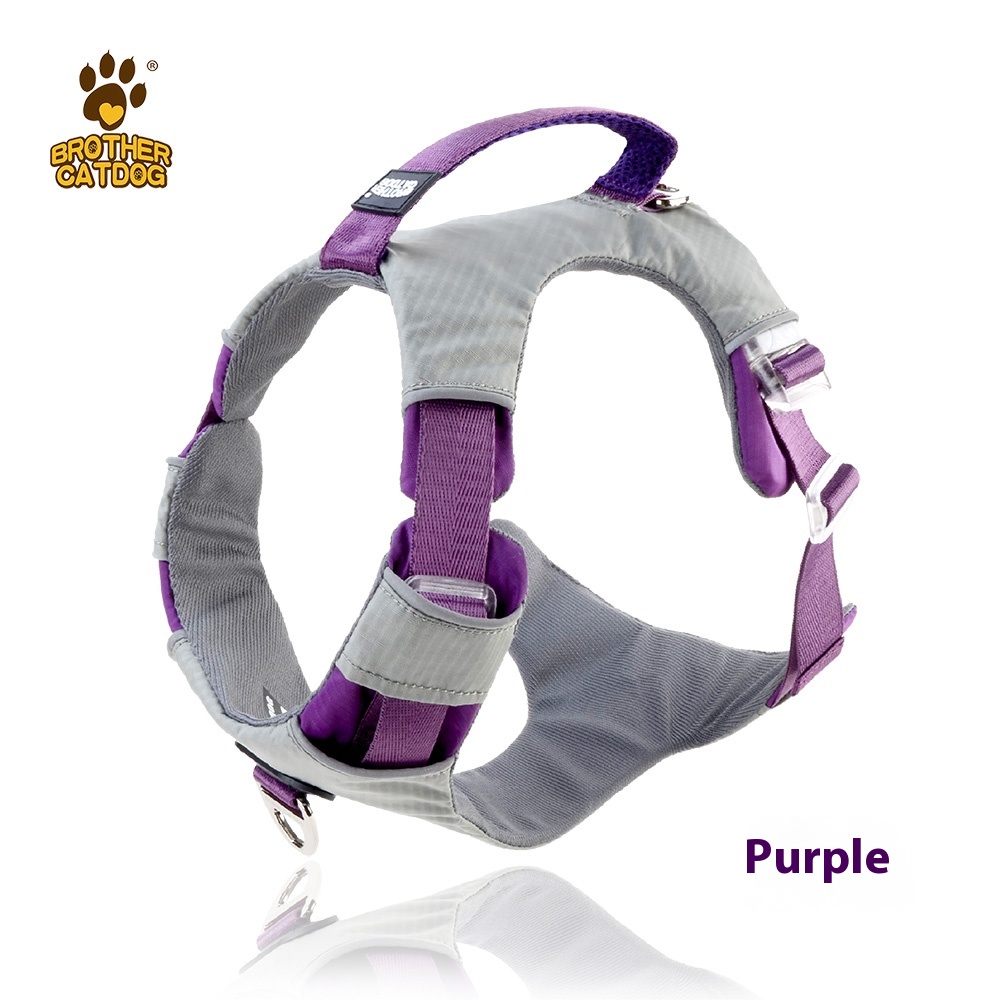 Dog breast strap pet dog hand holding rope explosion-proof strap retractable large dog small dog