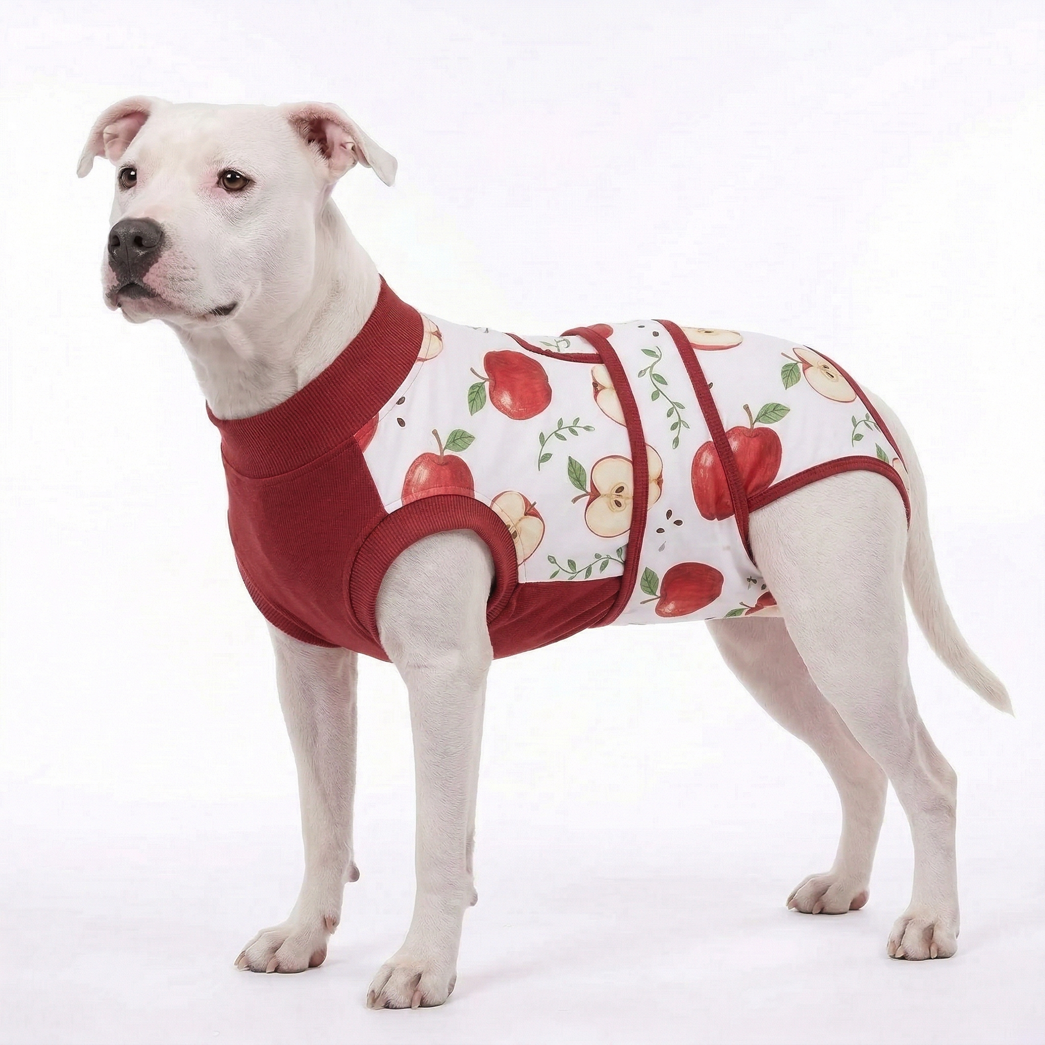 Recovery suits for male and female dogs- Fresh Fruits Print