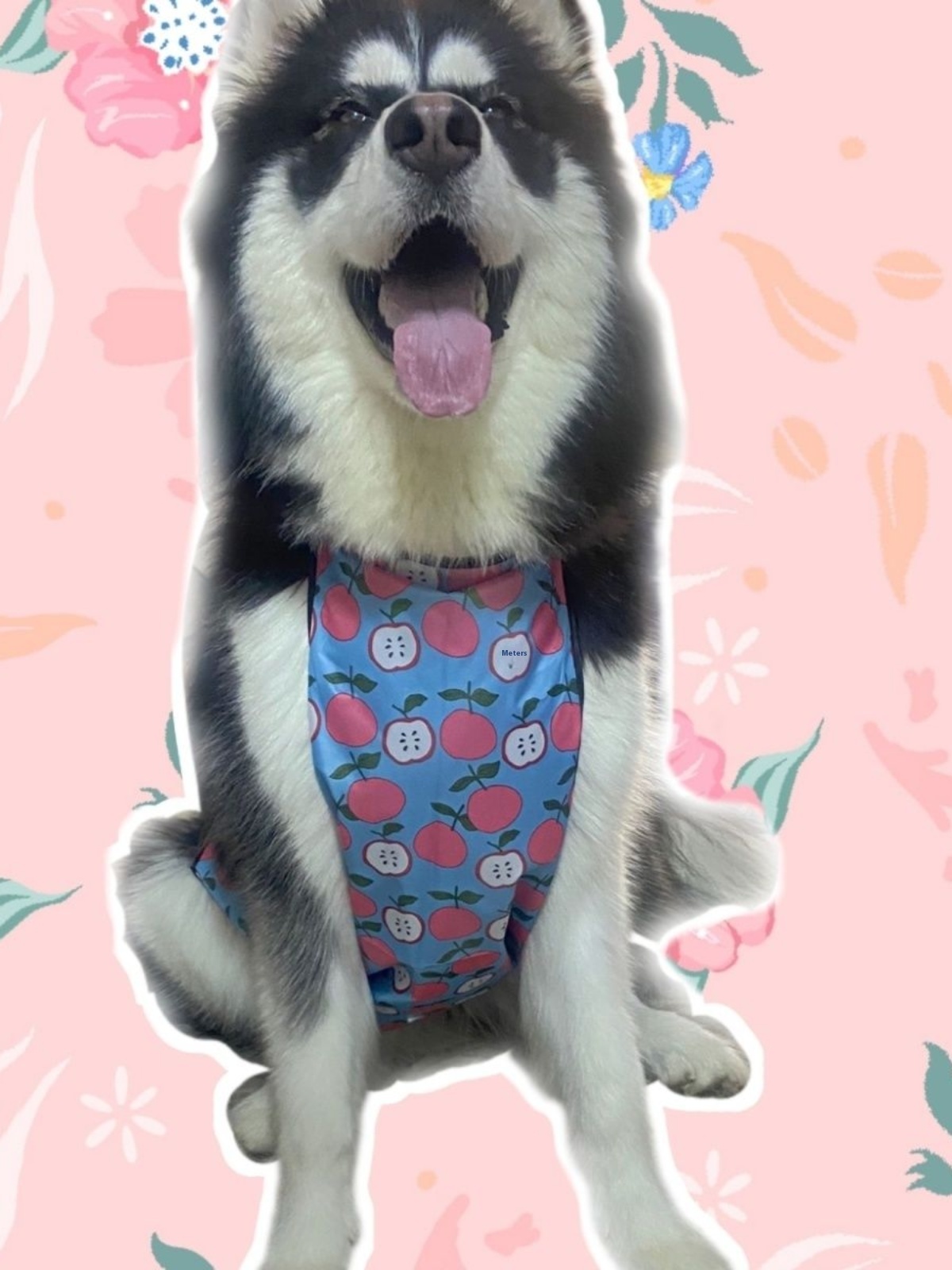 Dog Belly Suit -  Anti-dirty rainproof and waterproof warm