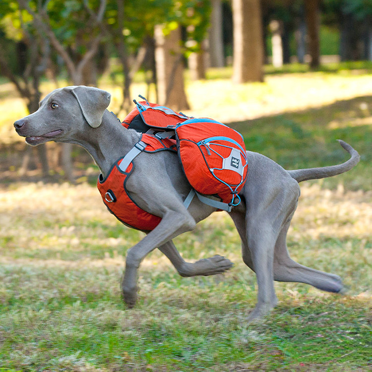 Pet dog dog backpack large dog outing dog backpack golden retriever Samoyed two ha detachable backpack