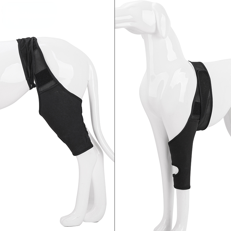 Dog fixed protective gear dog rear leg bracket disabled dog leg auxiliary dog leg limp belt knee pad surgical injury protective cover