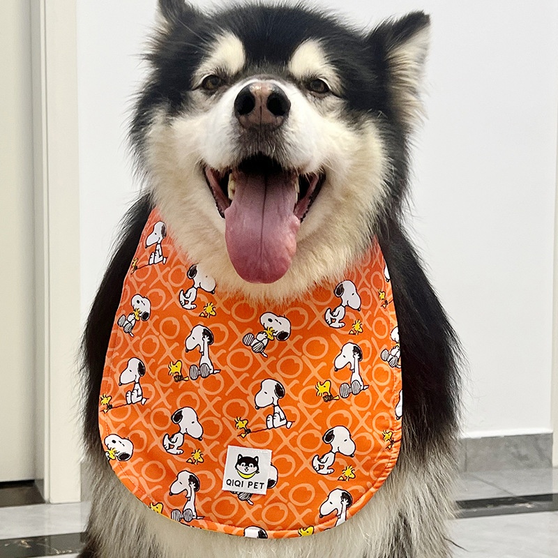 橙色史努比奇奇