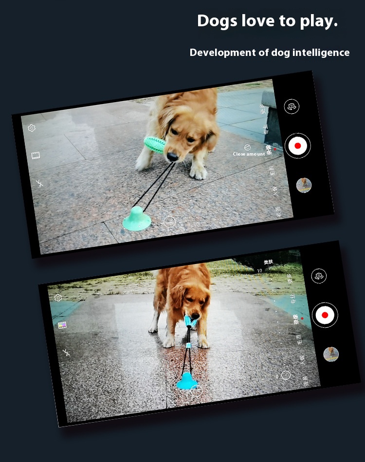 鍚哥洏鎷夊姏鐙楃帺鍏疯鎯卂04