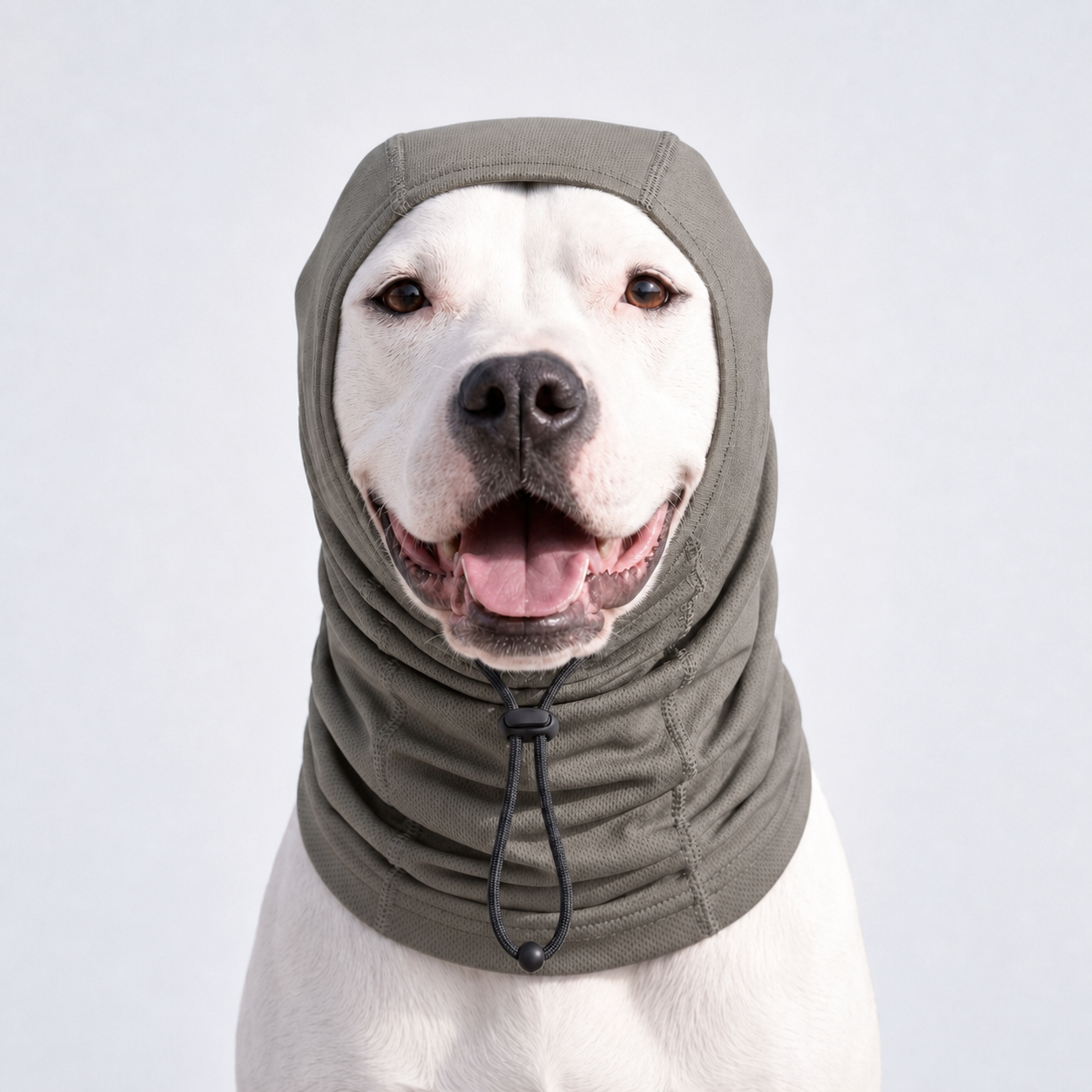 UPF50+ Dog Neck & Head Sun Protection Cover for Outdoor Walking