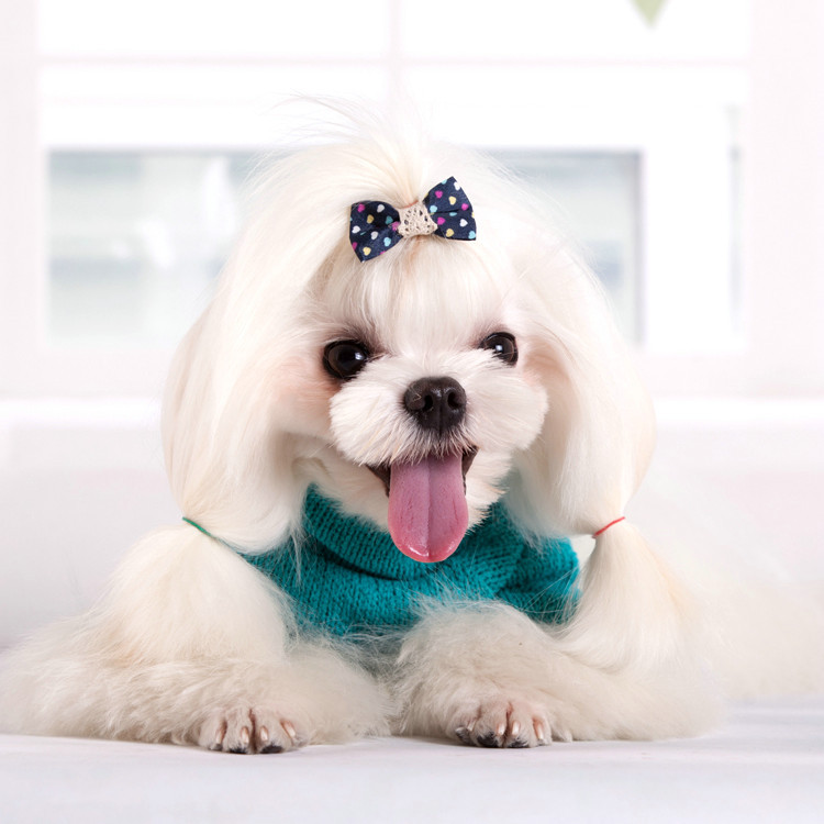 Warm Turtleneck Dog Sweater - Autumn Winter Cold-Proof Puppy Clothes