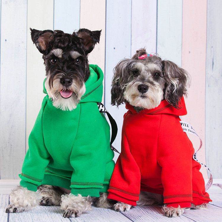 Winter pet clothes teddy poodle fashion dog sweater
